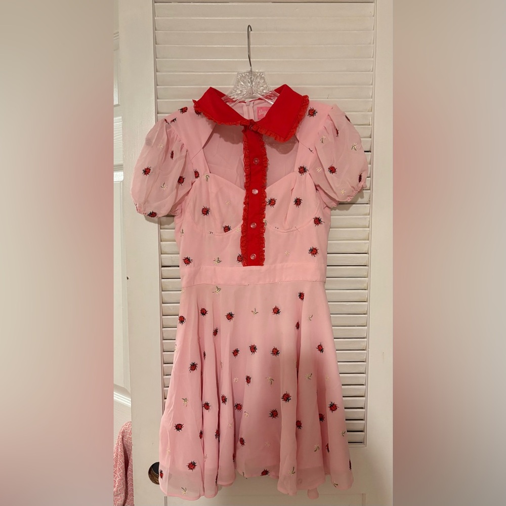 Pink Dress with Red Collar and Ladybug Embroidery